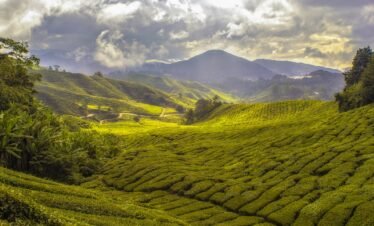 landscape photography of mountain