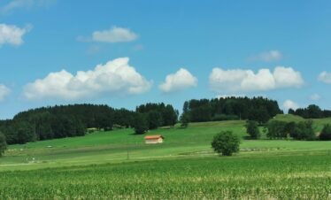green grass field under blue sky during daytime
