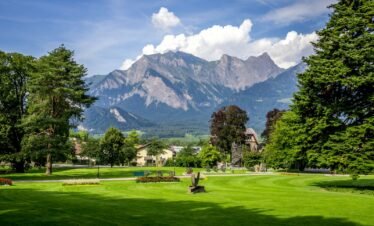green grass field with trees and mountains in the distance
