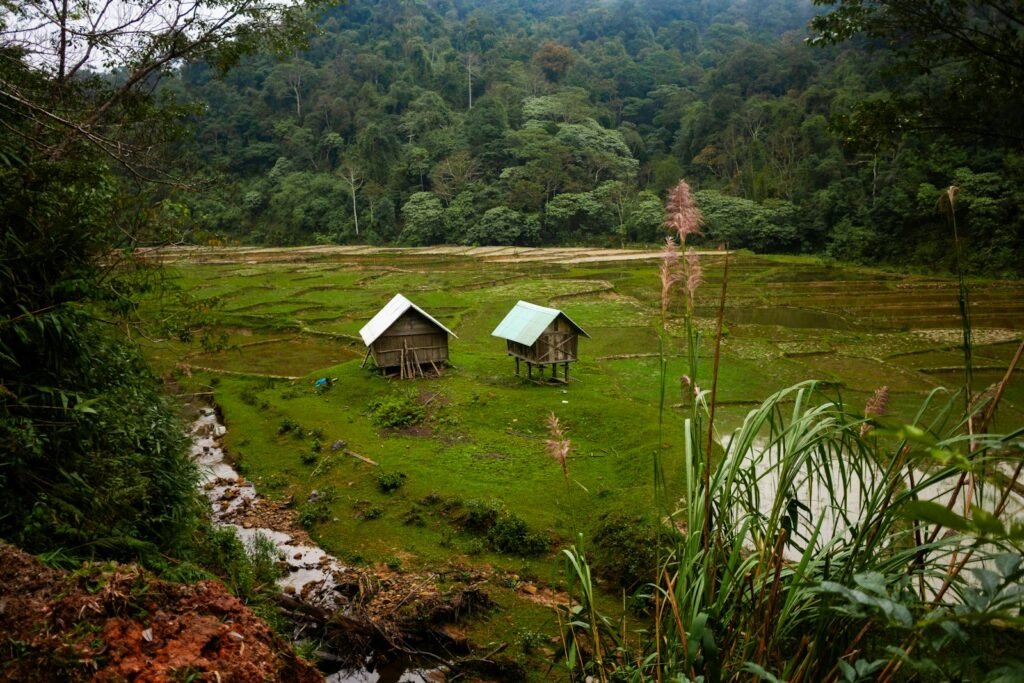 a couple of huts sitting on top of a lush green field