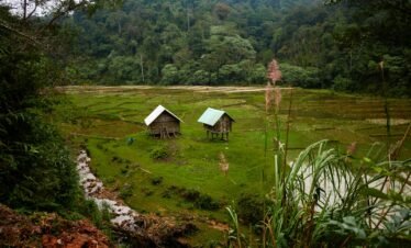 a couple of huts sitting on top of a lush green field