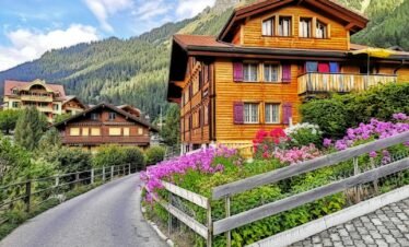 brown wooden house near purple flower field during daytime