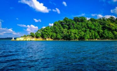 a large body of water surrounded by trees