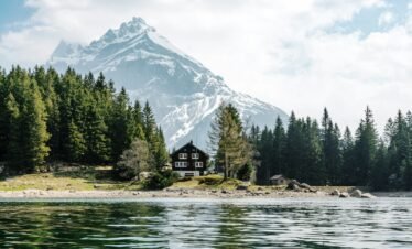 black painted house in the middle of the trees